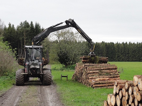Traktor gabelt Holz auf